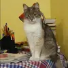 Отзыв от Галина Самойлова
